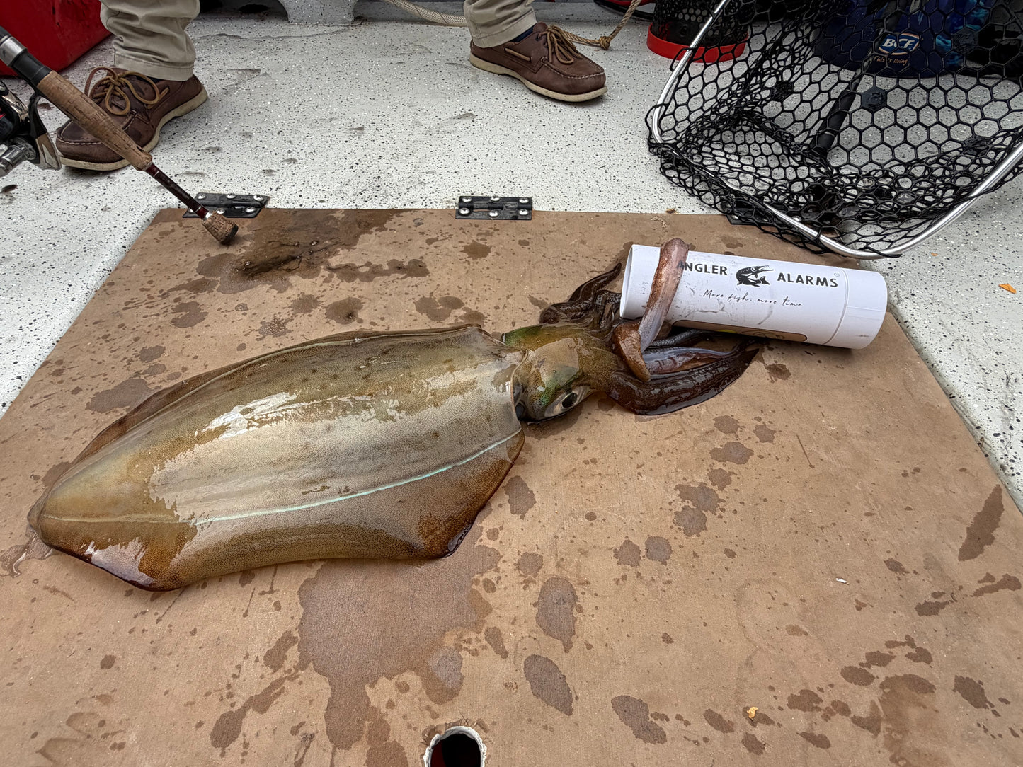 Squid Float plus Strike Alarm
