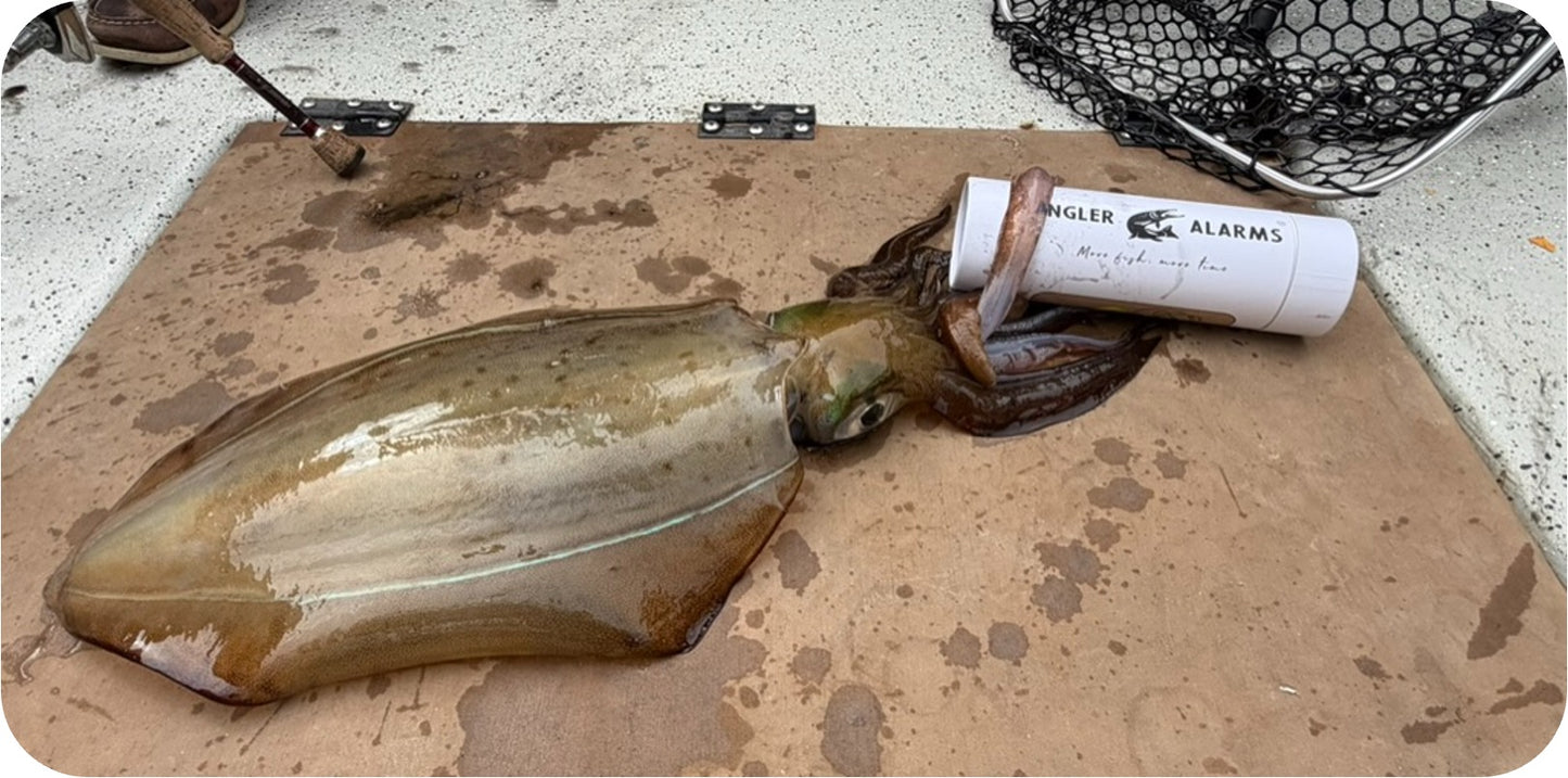 Sentri™ Squid Float (for use with Strike Alarm)